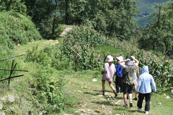 From Sapa: 2D1N Sapa Trekking Tour With Local Expert - Included in the Tour