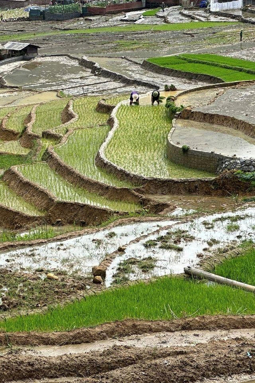From Sapa: a Wonderful 2 Day 1 Night Trek With a Homestay - Inclusions