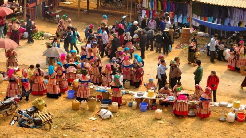 From Sapa: Bac Ha Sunday Market and Ethnic Villages Tour - Important Information and Reviews
