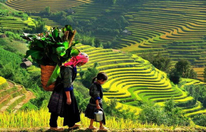 From Sapa: Bac Ha Sunday Market and Ethnic Villages Tour - Since You Asked