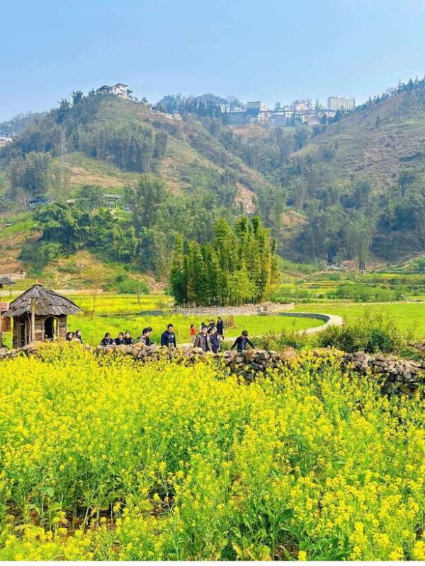 From Sapa: Cat Cat & Sin Chai Villages Private Trekking Tour - Inclusions