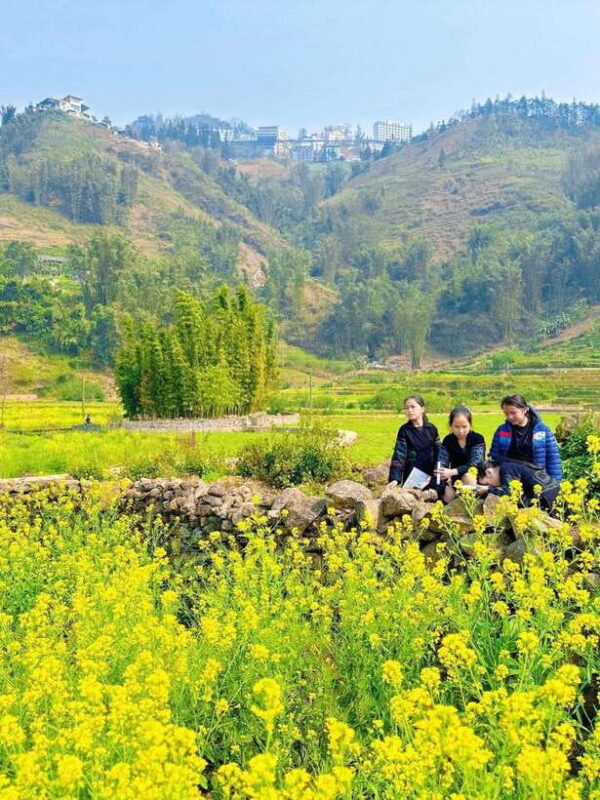 From Sapa: Cat Cat & Sin Chai Villages Private Trekking Tour - Participant Information