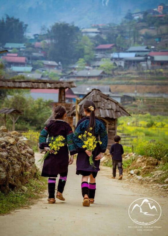 From Sapa: Cat Cat & Sin Chai Villages Private Trekking Tour - Customer Reviews