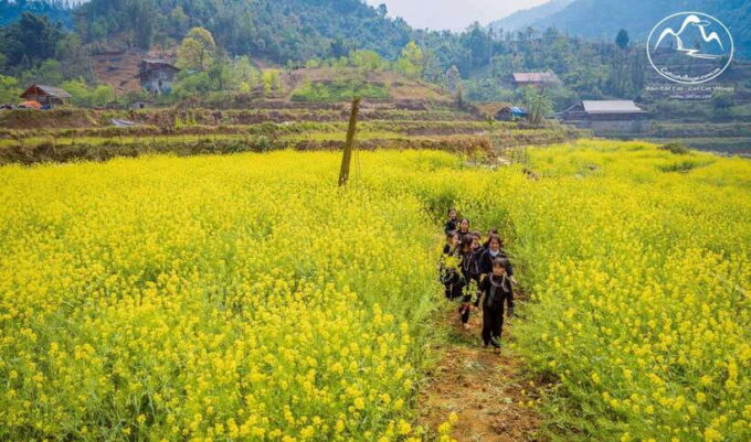 From Sapa: Cat Cat & Sin Chai Villages Private Trekking Tour - Capturing the Beauty of Cat Cat Waterfall