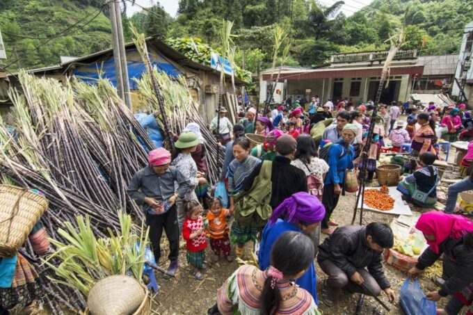 From Sapa: Ethnic Colorful Market On Sunday - Bac Ha - Availability and Cancellation