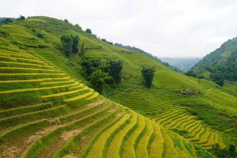From Sapa: Ha Giang Loop 3-day Motorbike Tour With EasyRider - Exclusions