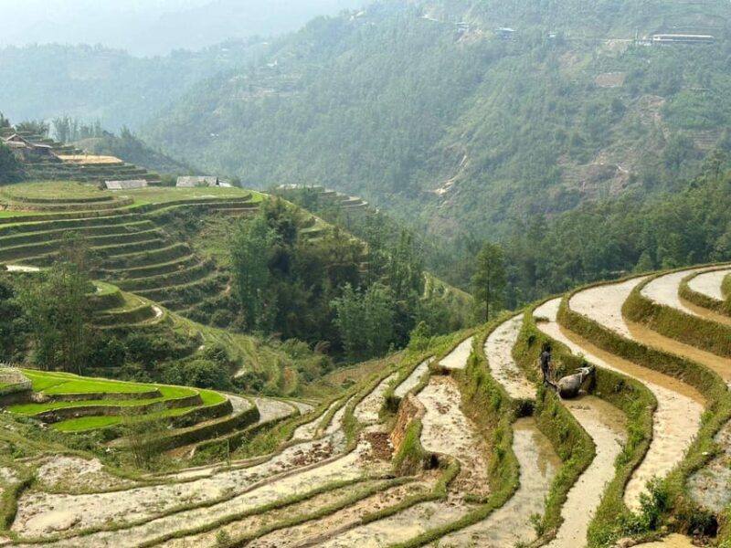 From Sapa: Lu Khau and Xa Xeng Villages 1 Day Private Tour - Experience Highlights