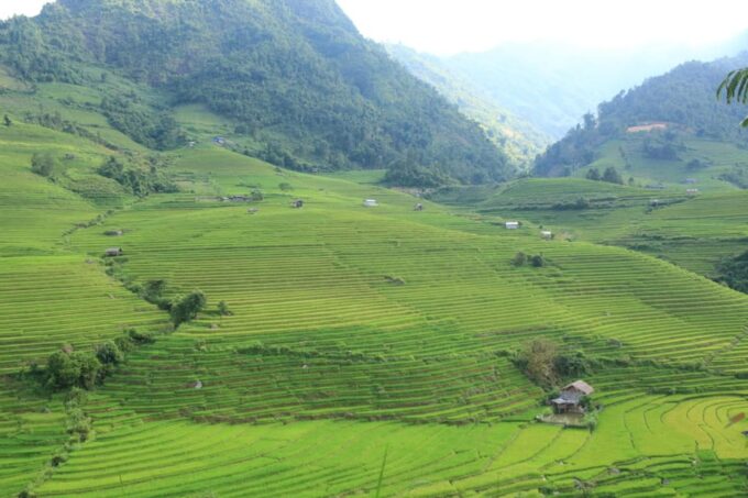 From Sapa: Sapa Full Day Trekking With Lunch - Meal and Dining Details