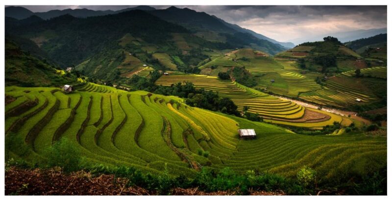 From Sapa: Terrace Fields and Local Villages Trek With Lunch - Trek Details