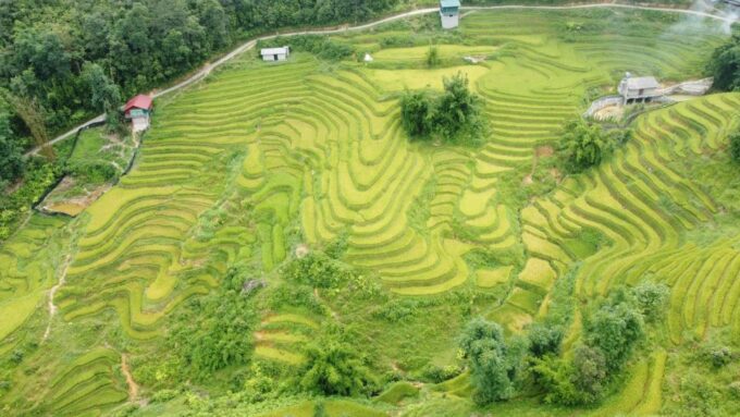 From Sapa: Terrace Fields and Local Villages Trek With Lunch - Not Suitable for