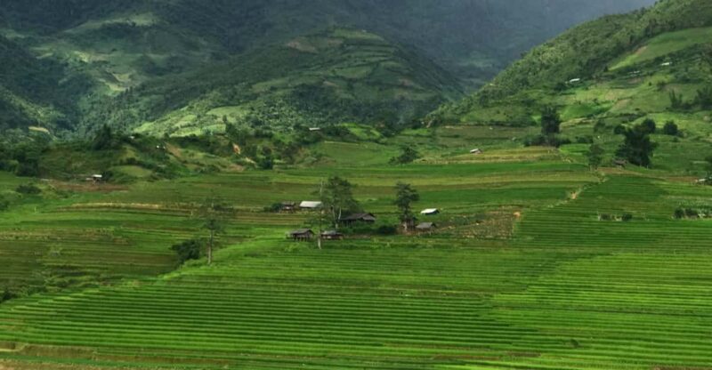 From Sapa to Mu Cang Chai - Rice Terraces Treks & Easy Rider - Daily Itinerary