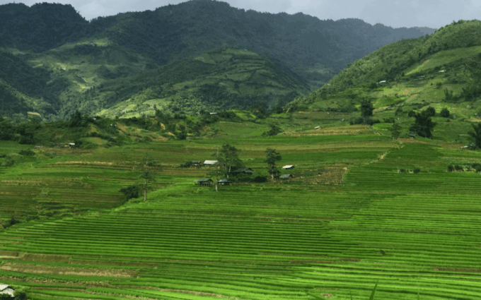 From Sapa to Mu Cang Chai - Rice Terraces Treks & Easy Rider - Frequently Asked Questions