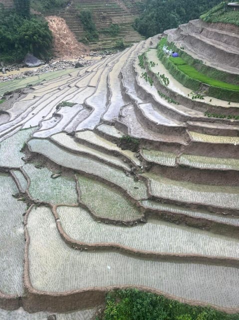 From Sapa: Trek 2 Day - Rice Terrace - Homestay in Ta Van - Itinerary Details