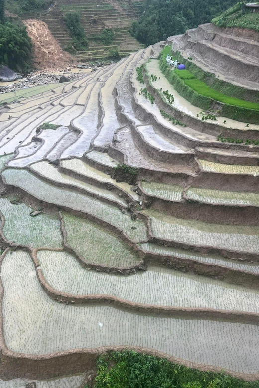 From Sapa: Trek 2 Day - Rice Terrace - Homestay in Ta Van - Day 1: Trek to Tavan Homestay