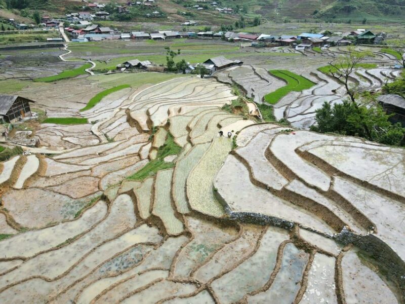 From Sapa: Trek 2 Day - Rice Terrace - Homestay in Ta Van - Included Services