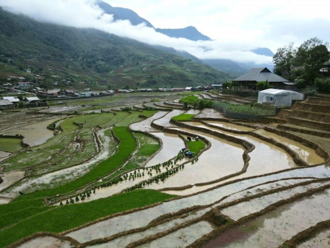 From Sapa: Trek 2 Day - Rice Terrace - Homestay in Ta Van - Meeting and Pickup Information