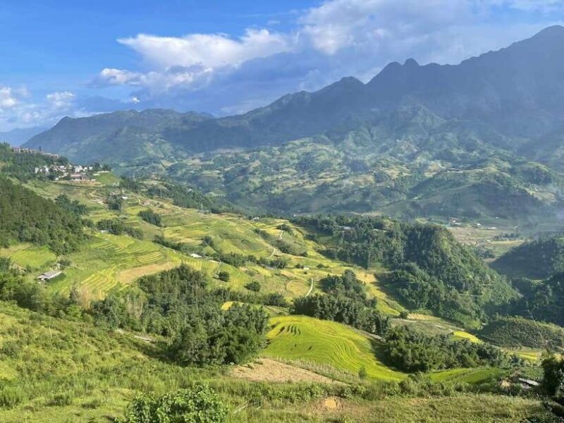 From Sapa: Trekking 1 Day Y Linh Ho - Lao Chai - Ta Van - Key Points