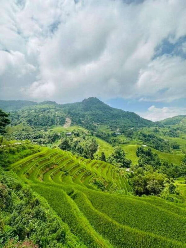 From Sapa: Trekking 1 Day Y Linh Ho - Lao Chai - Ta Van - Highlights and Experience