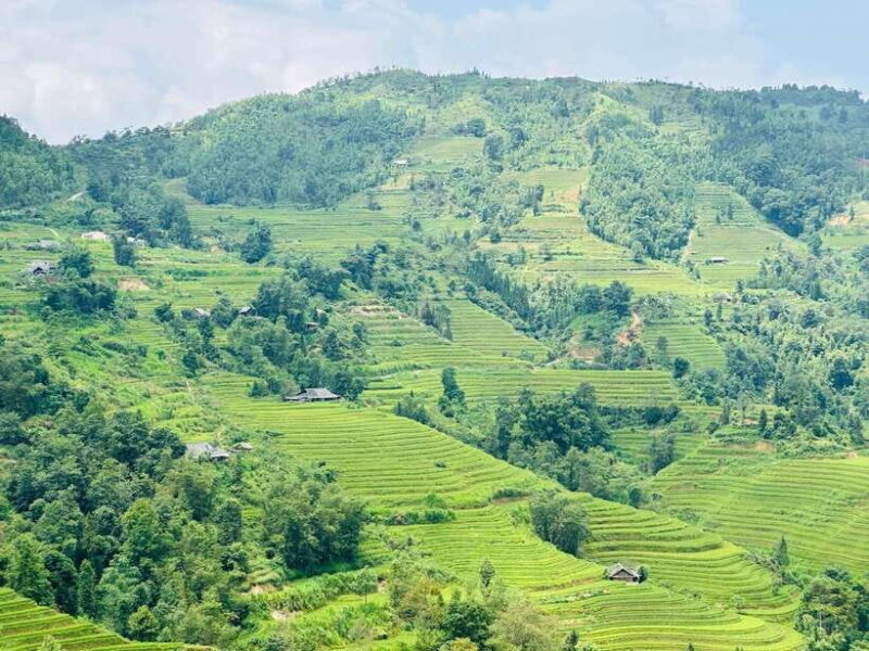 From Sapa: Trekking 1 Day Y Linh Ho - Lao Chai - Ta Van - Itinerary