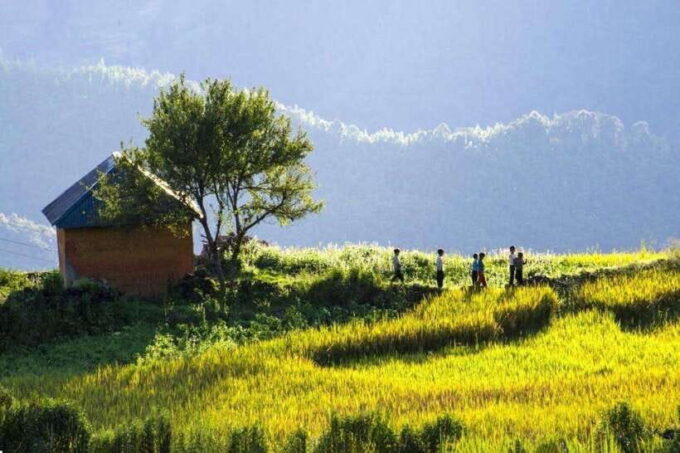 From Sapa: Trekking 1 Day Y Linh Ho - Lao Chai - Ta Van - Activity: Trekking 1 Day Y Linh Ho - Lao Chai - Ta Van