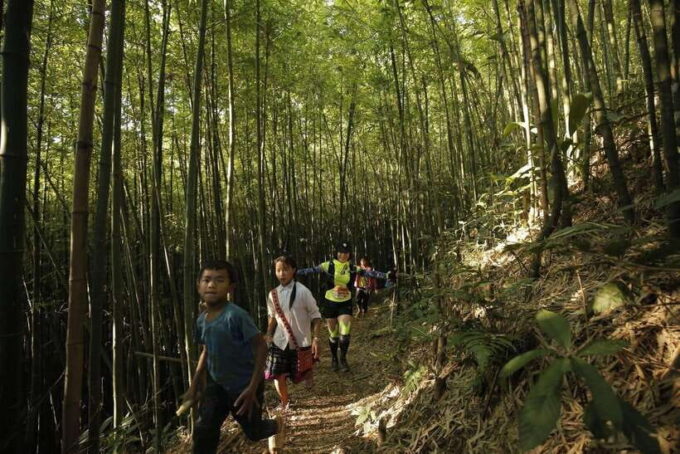 From Sapa: Trekking 1 Day Y Linh Ho - Lao Chai - Ta Van - Price and Duration