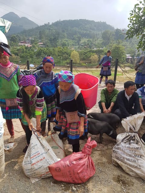From Sapa: Visit Bac Ha Market - 1D Trip - Lunch & Bus - Navigating the Vibrant Bac Ha Market