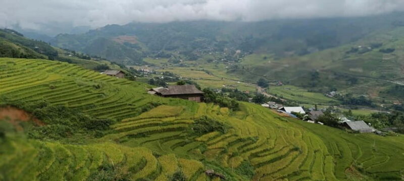 From Sapa Visit Lao Chai/Ta Van/Giang Ta Chai Sleep Homestay - Itinerary Highlights