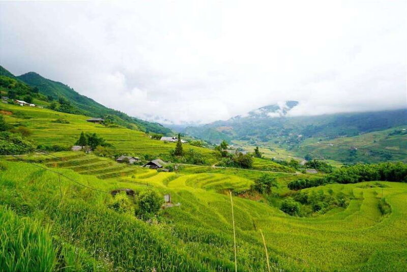 From Sapa Visit Lao Chai/Ta Van/Giang Ta Chai Sleep Homestay - Important Information