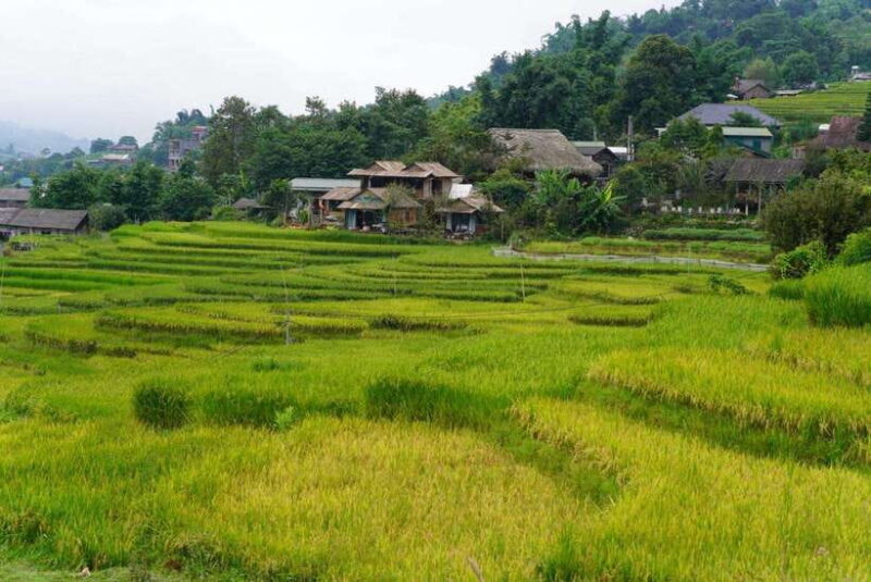 From Sapa Visit Lao Chai/Ta Van/Giang Ta Chai Sleep Homestay - Cancellation Policy