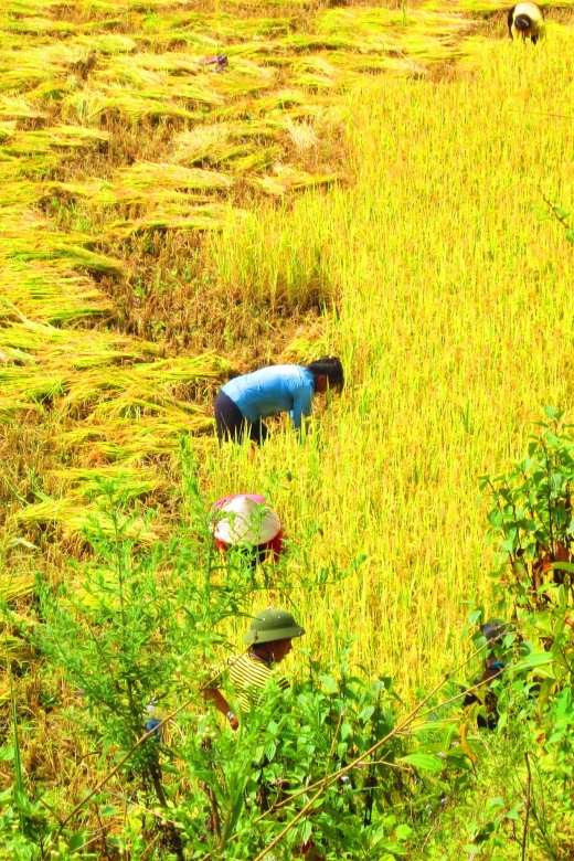 From Sapa: Waterfalls, Trekking and Tribal Villages Tour - Tribal Village Experiences