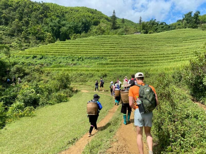From Sapa: Y Linh Ho, Lao Chai & Ta Van Trek Day Tour - A Detailed Look at the Tour Experience