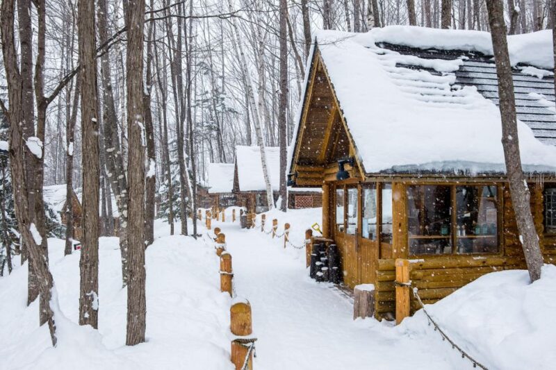 From Sapporo: 10-hour Customized Private Tour to Furano - Transportation Provided