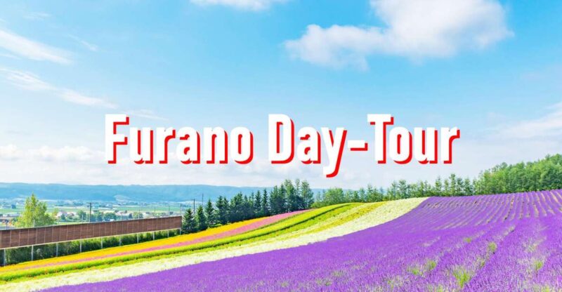 From Sapporo: 10-hour Customized Private Tour to Furano - Asahiyama Zoo Highlights