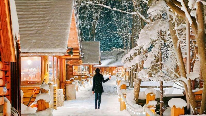 From Sapporo: Asahiyama Zoo, Waterfall & Blue Pond Tour - Key Points
