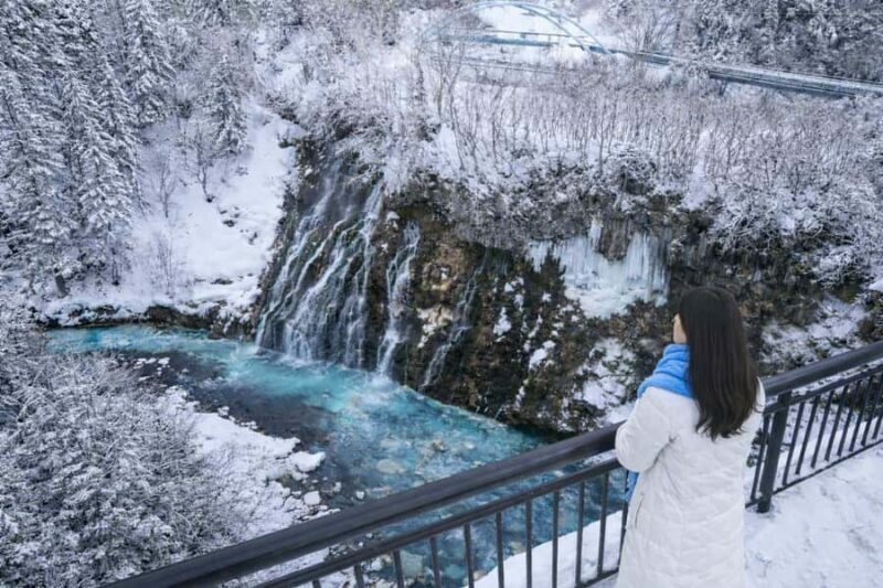 From Sapporo: Asahiyama Zoo, Waterfall & Blue Pond Tour - Authentic Experiences & Traveler Feedback