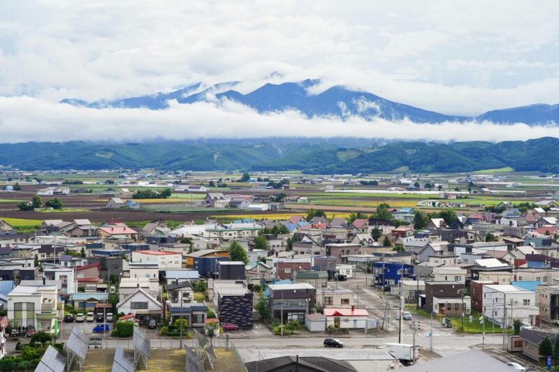 From Sapporo: Furano and Biei Vibrant Fields Tour - Itinerary Highlights