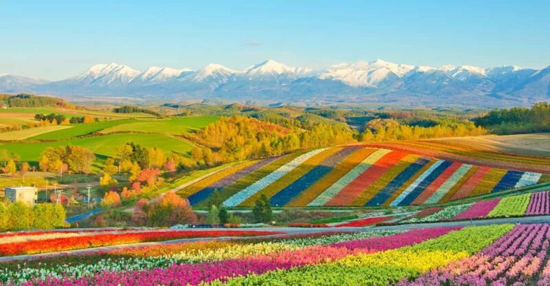 From Sapporo: Hokkaido Day Tour With Lunch Options - Roller-Coaster Roads and Blue Ponds