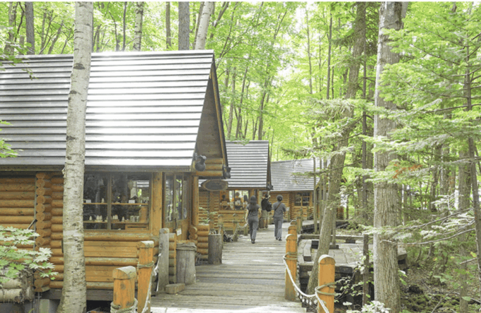 From Sapporo : Hokkaido Furano Tomita Farm Joiner Tour - Inclusions and Amenities