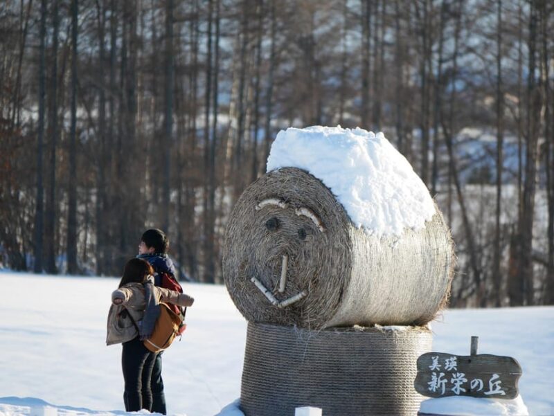 From Sapporo: Private Day Tour to Biei, Furano and Asahikawa - Important Information and Customer Reviews