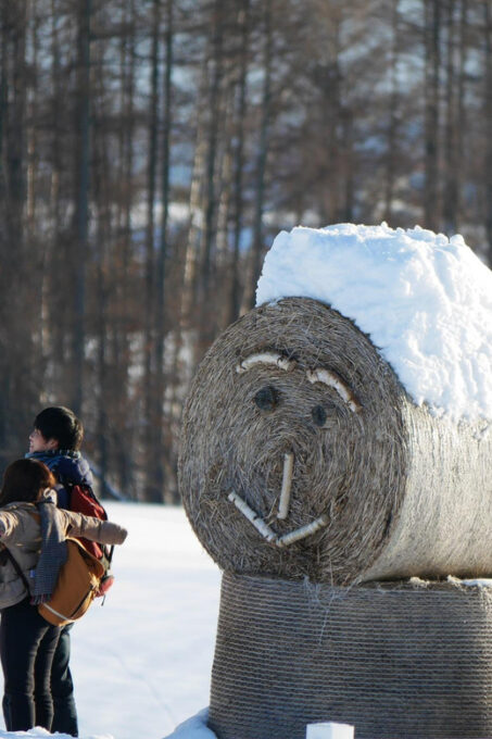 From Sapporo: Private Day Tour to Biei, Furano and Asahikawa - FAQ