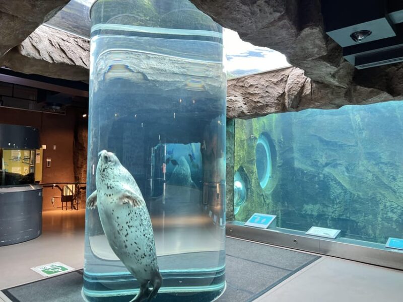 From Sapporo: the Famous Asahiyama Zoo, the Beautiful Biei and Furano - Asahiyama Zoo