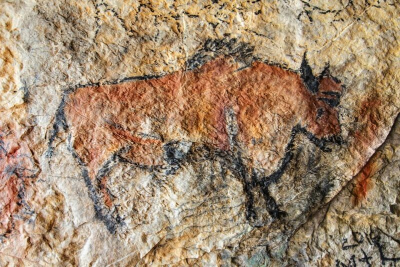 From Sarlat: Half-Day Skip-the-Line Lascaux IV Tour - Highlights of the Experience