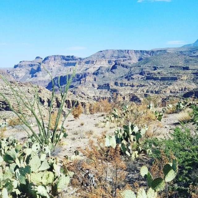 From Scottsdale/Phoenix: Apache Trail Day Tour - Goldfield Ghost Town