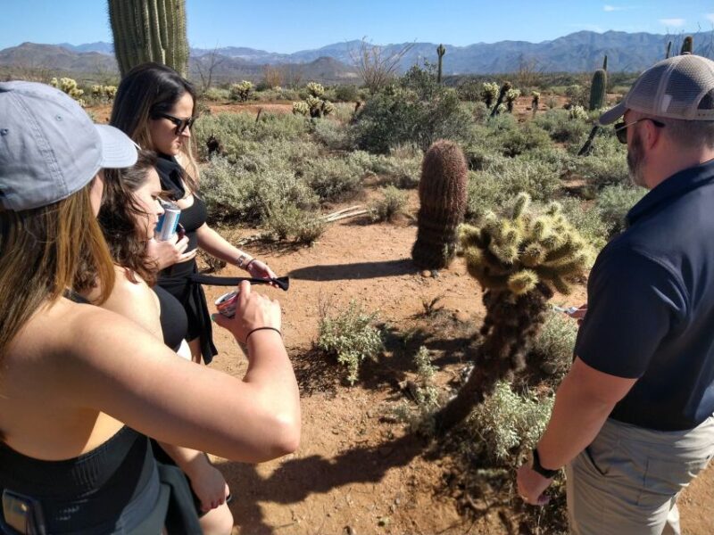 From Scottsdale: Sonoran Desert & Tonto National Forest Trip - Experience Highlights