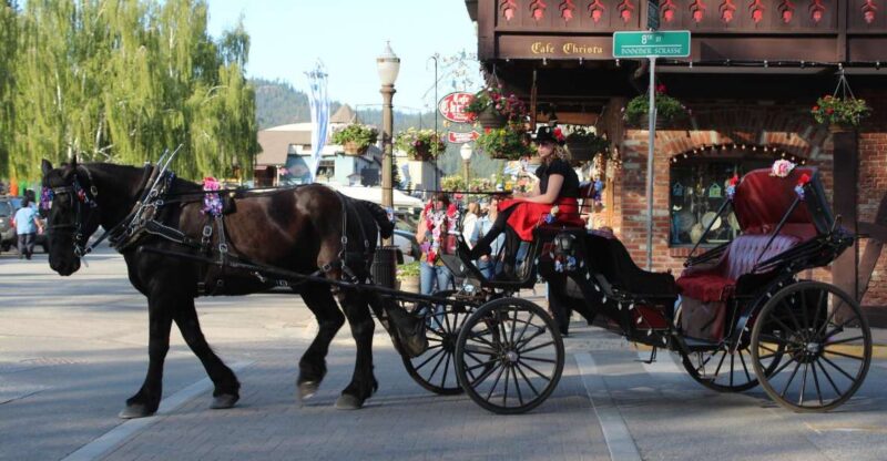 From Seattle: Day Trip Through The Cascades to Leavenworth - Itinerary and Activities