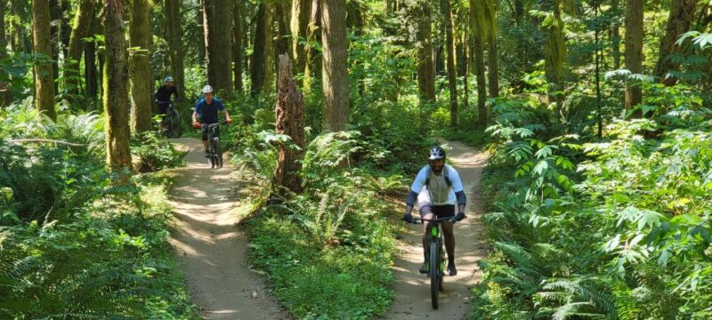 From Seattle: Full Day All-Inclusive Mountain Bike Tour - Included in the Tour