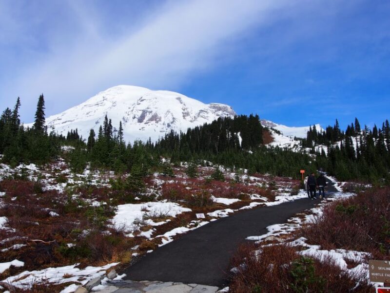 From Seattle: Mount Rainier Full-Day Tour - Key Points