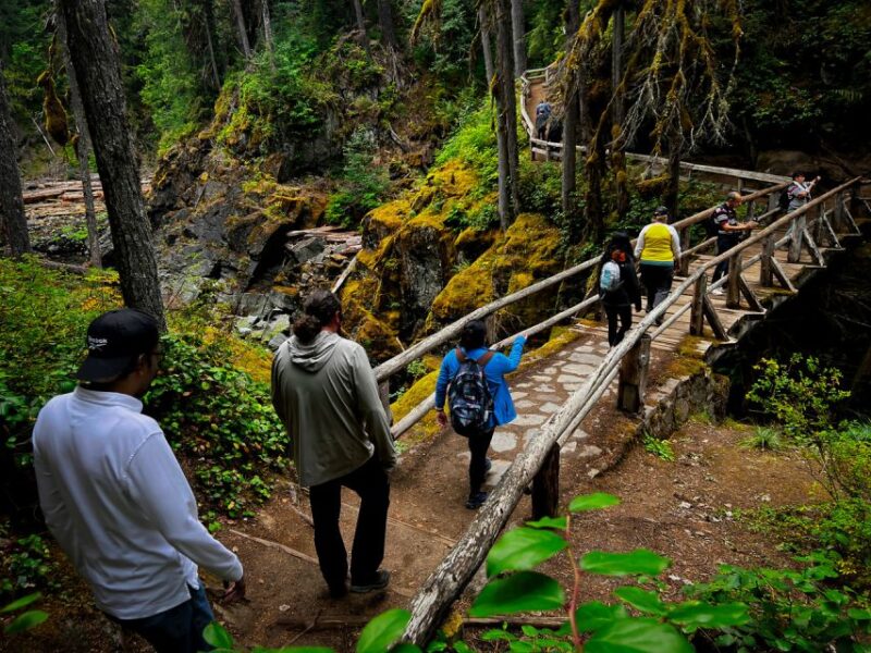 From Seattle: Mount Rainier Full-Day Tour - Transportation and Accessibility