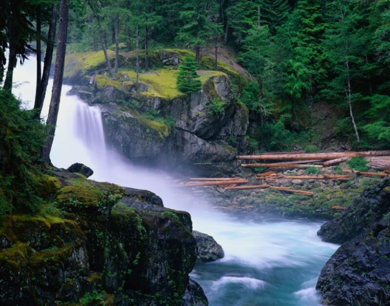 From Seattle: Mount Rainier Full-Day Tour - What to Bring and Restrictions
