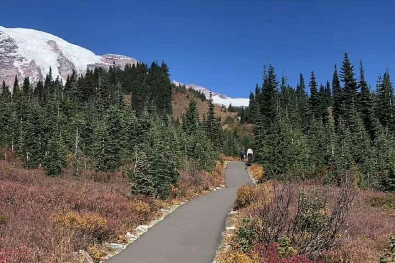 From Seattle: Mount Rainier National Park 1-Day Tour - Final Thoughts